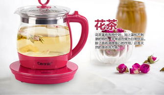 康麗KT807加厚玻璃養生壺 全自動煎藥煮茶，健康生活的智慧之選