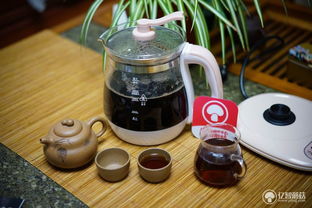 無人值守的烹煮良品 木木羊防溢養生壺使用體驗